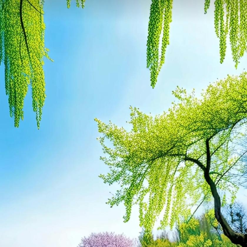 跃博思宠粉直播号