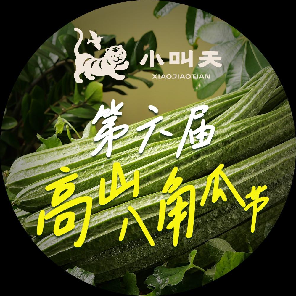 小叫天官方号