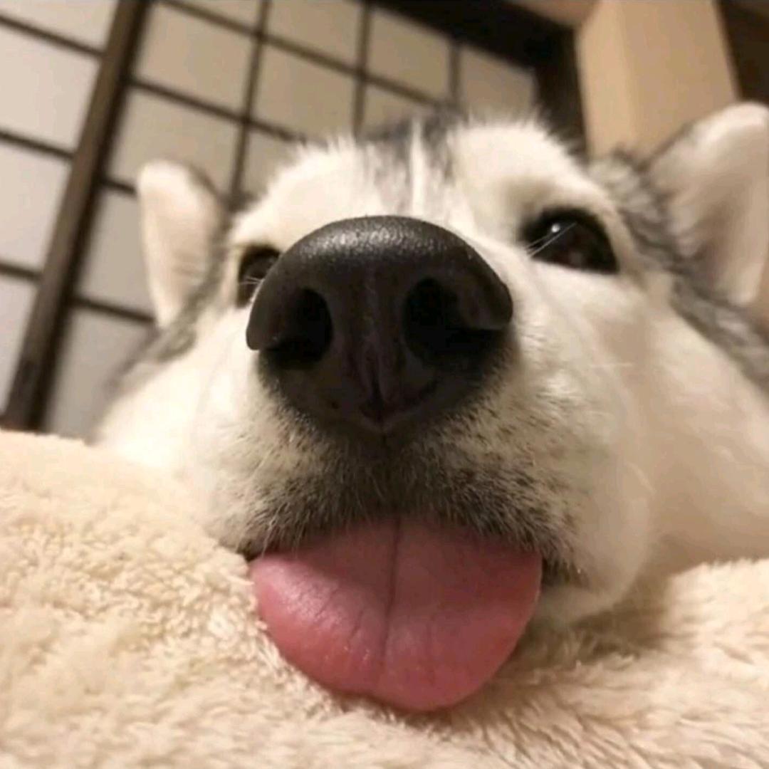 南 关 小 碗 牛肉 汤