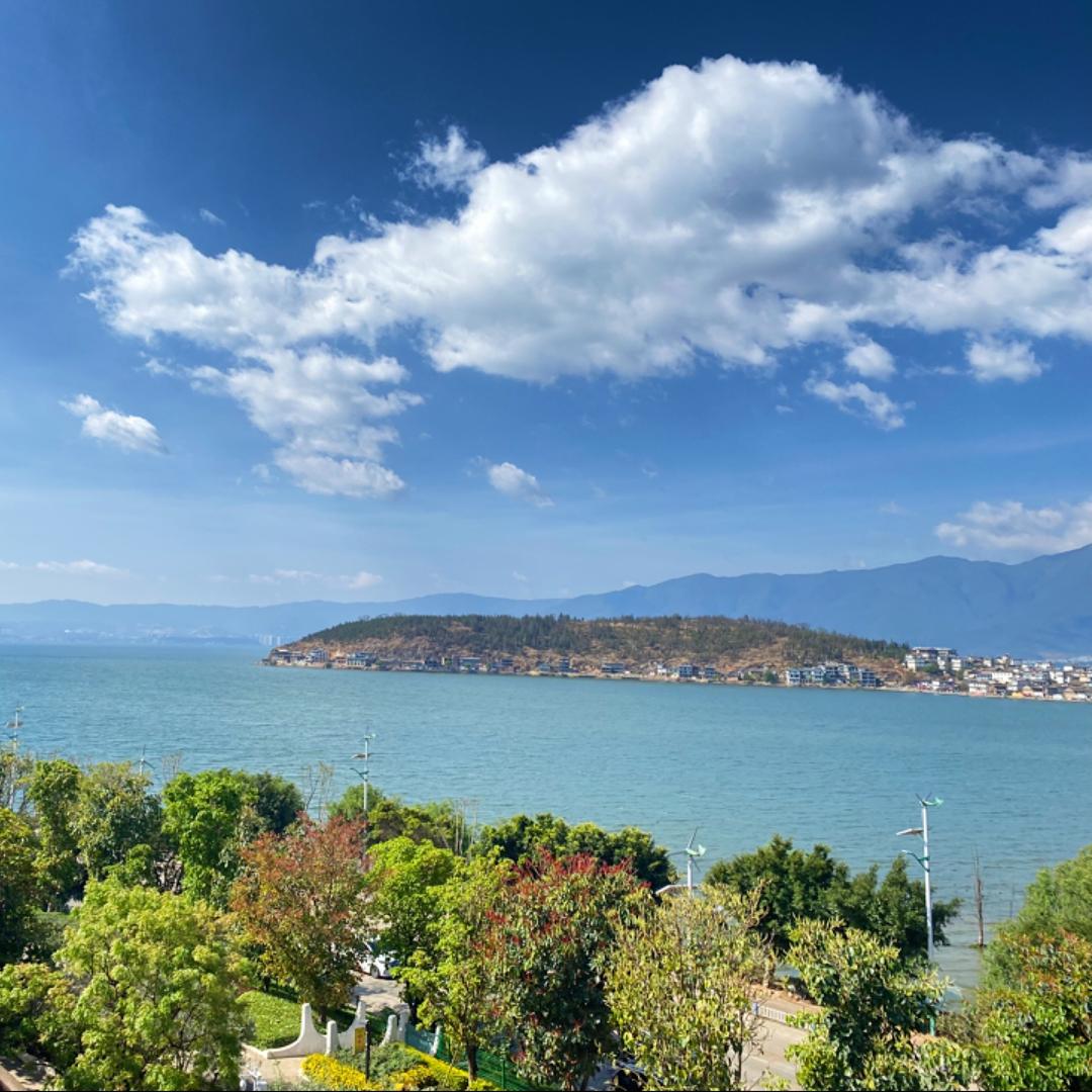 姬茨羽经营二号