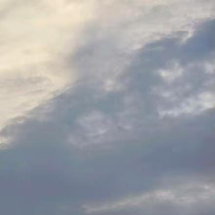 郴州市洪玫娟商贸有限公司--