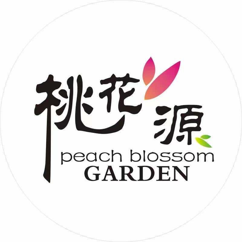 桃花源炒鸡带回家