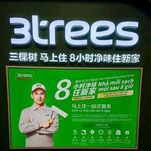 三棵树马上住（湖南和业涂装）