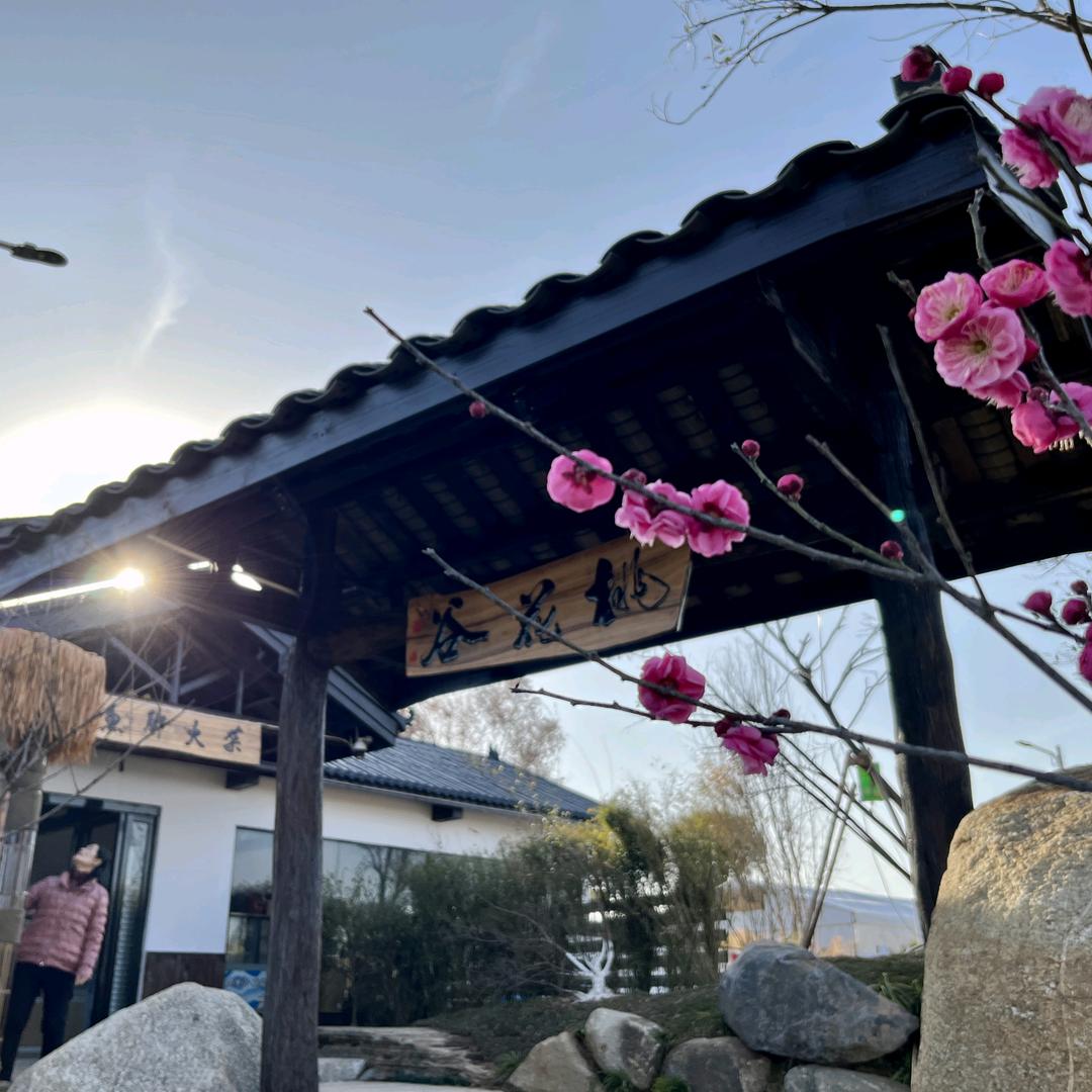 桃花谷