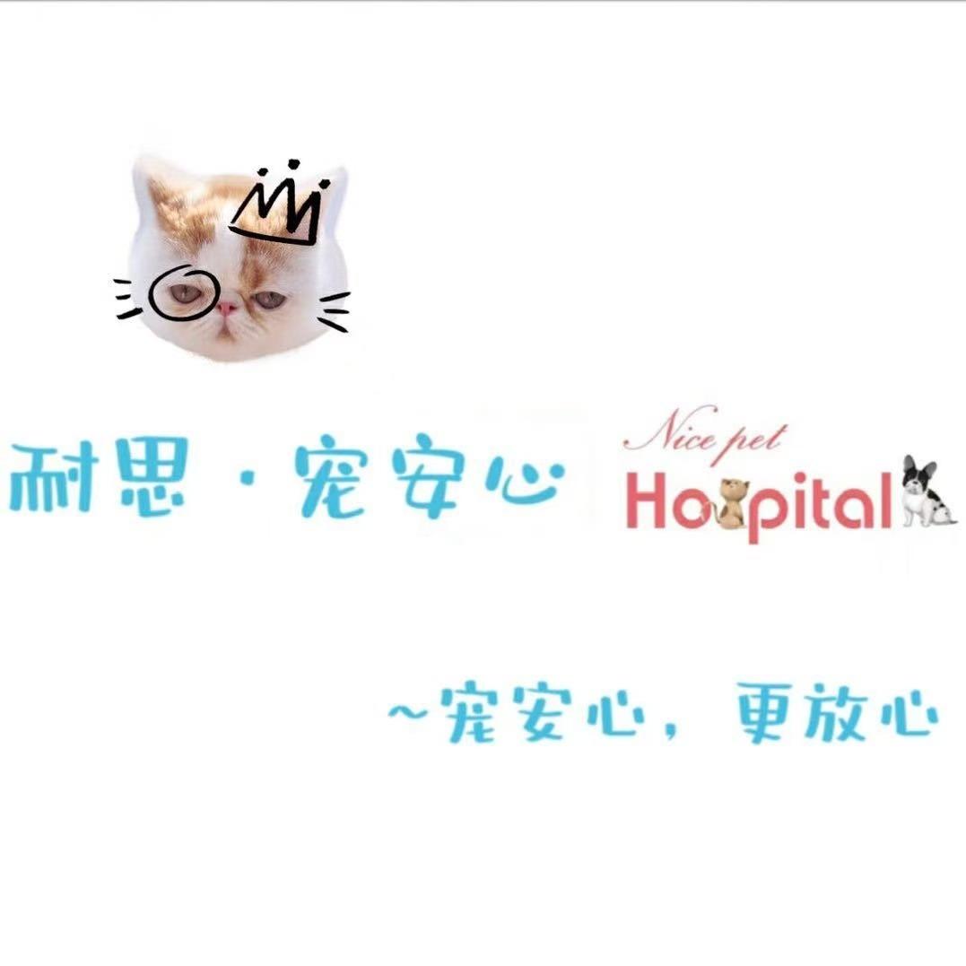 宠安心宠物医院-宠I·T(云锦路店)-