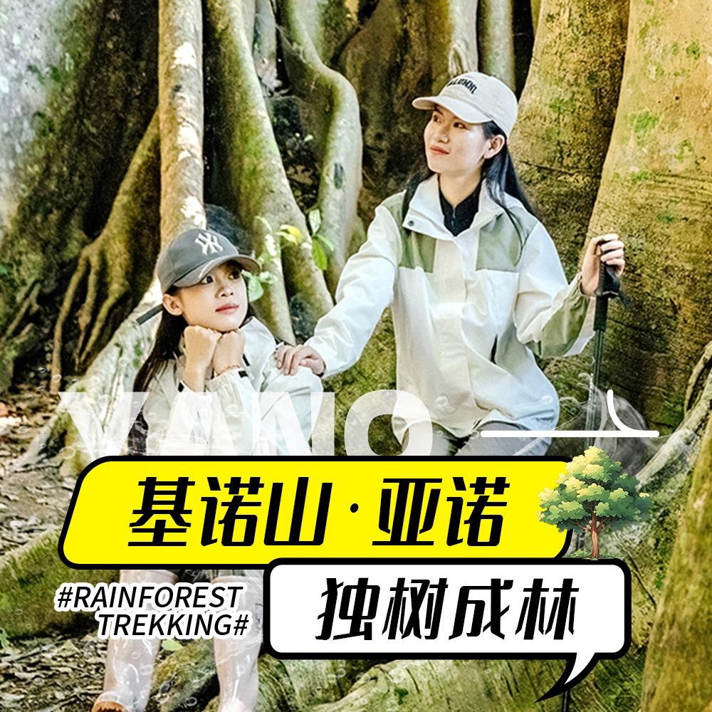 基诺山亚诺独树成林雨林徒步