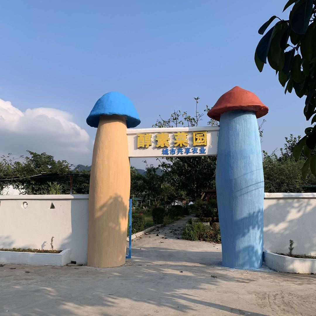 兴义市醇素菜园