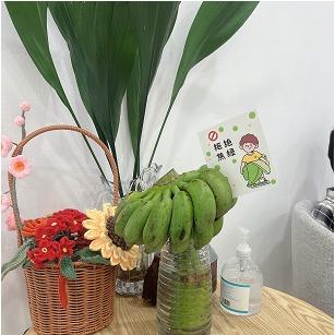 清晰视界5.0