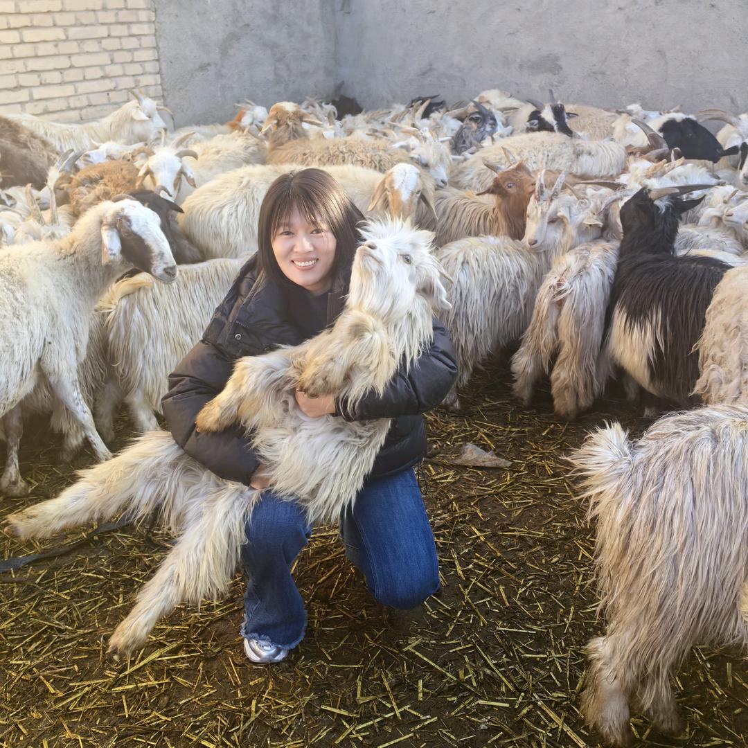 大漠羊娃子零售店