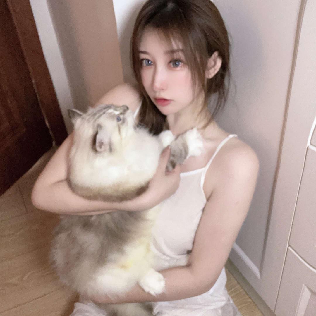 铃铛猫舍（陈多肉）