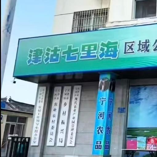津沽七里海