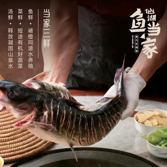 仙湖鱼当家蒸汽石锅鱼（富康城店）