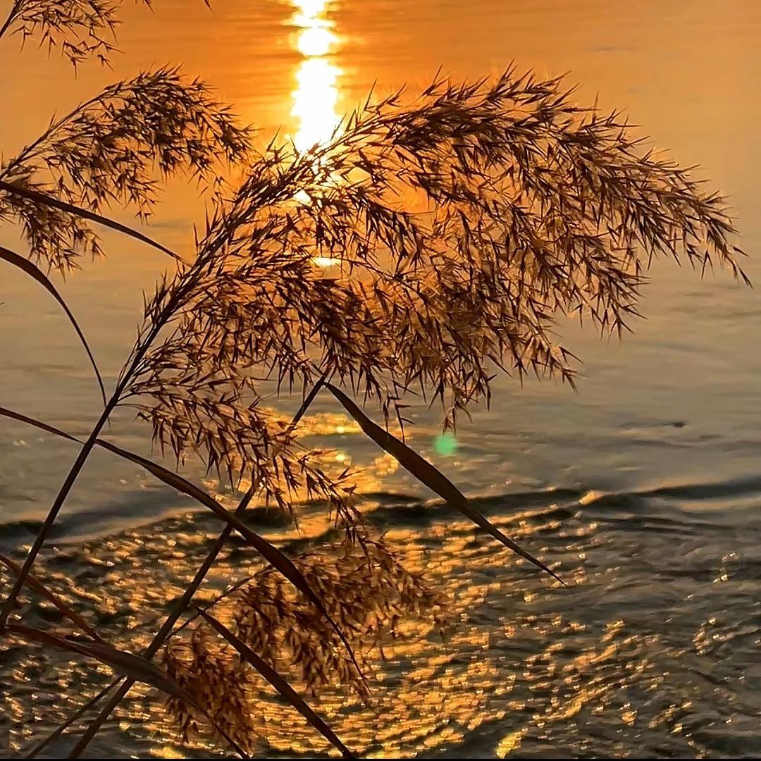 北京吉乐欣荣建筑工程有限公司达话直播号