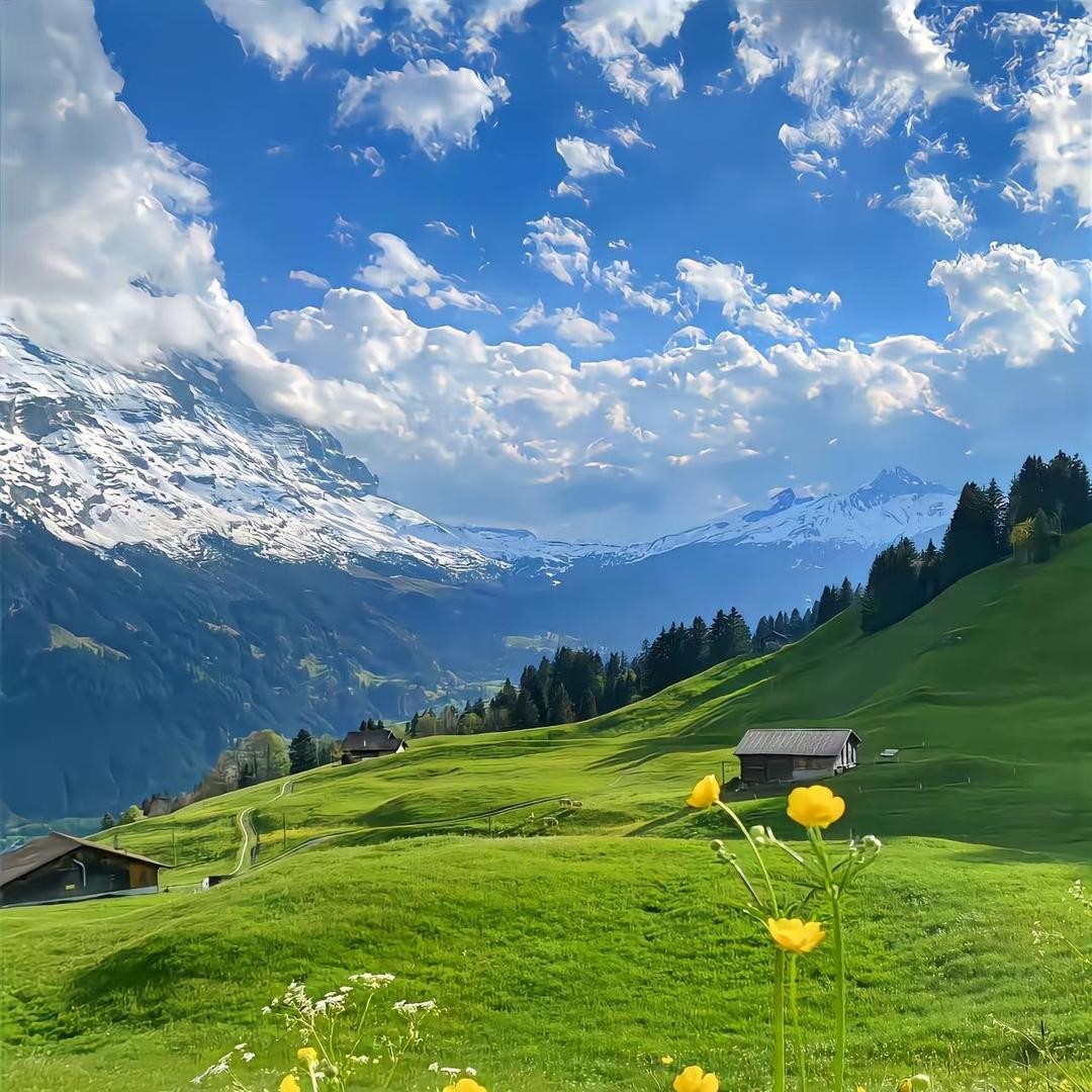 宁荣易商贸创能号