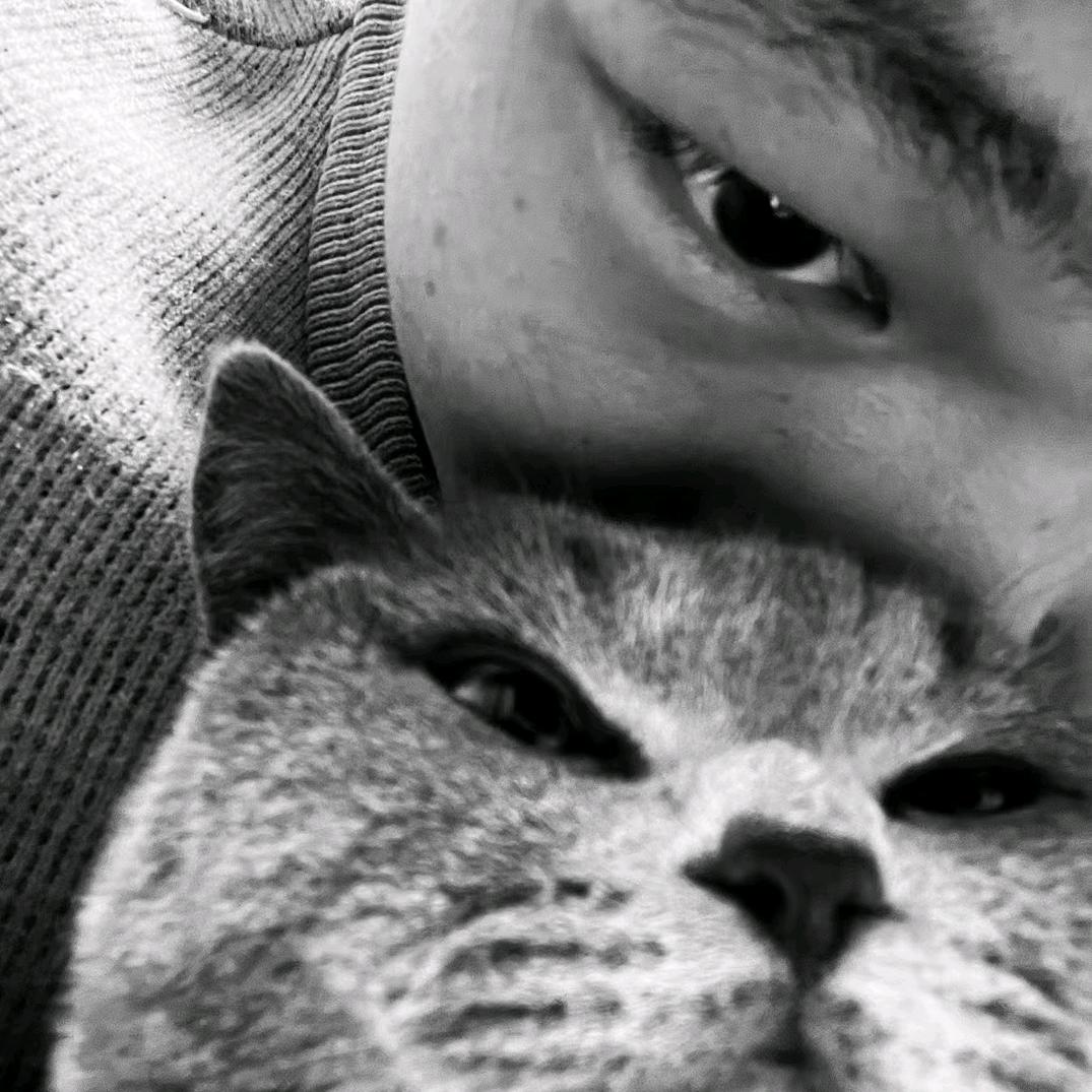 吕文龙鸡柳卷饼朝阳西路店