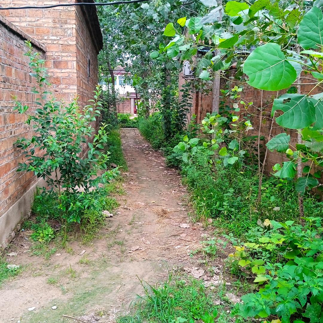 衢州鸭头(外滩小区店）