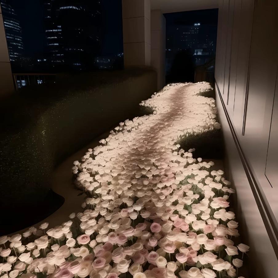 粉丝优选（敏尘）