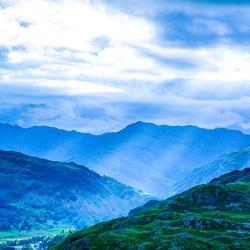 常平小何建材批发经营号