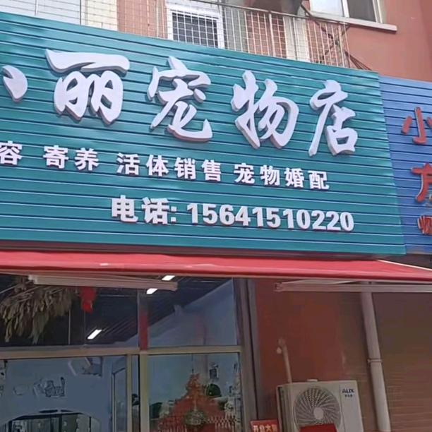 小丽宠物店