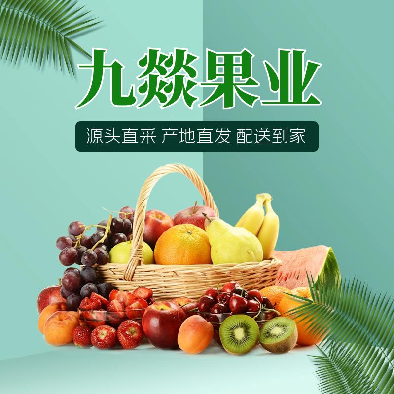 九燚果业仓储店(凤翔路店)