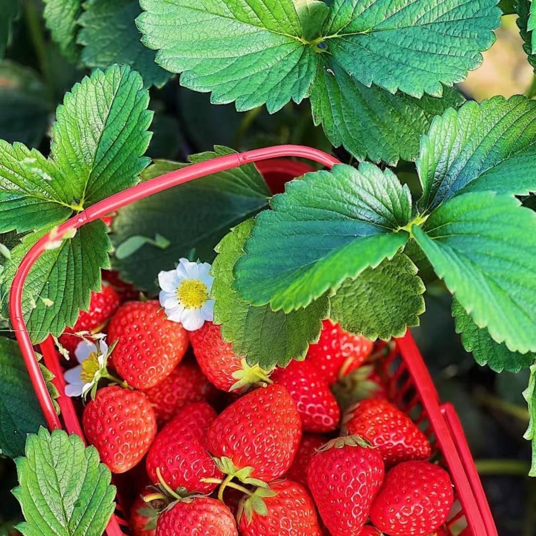 76真萍科技官方号