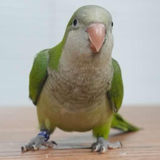 76776801745
