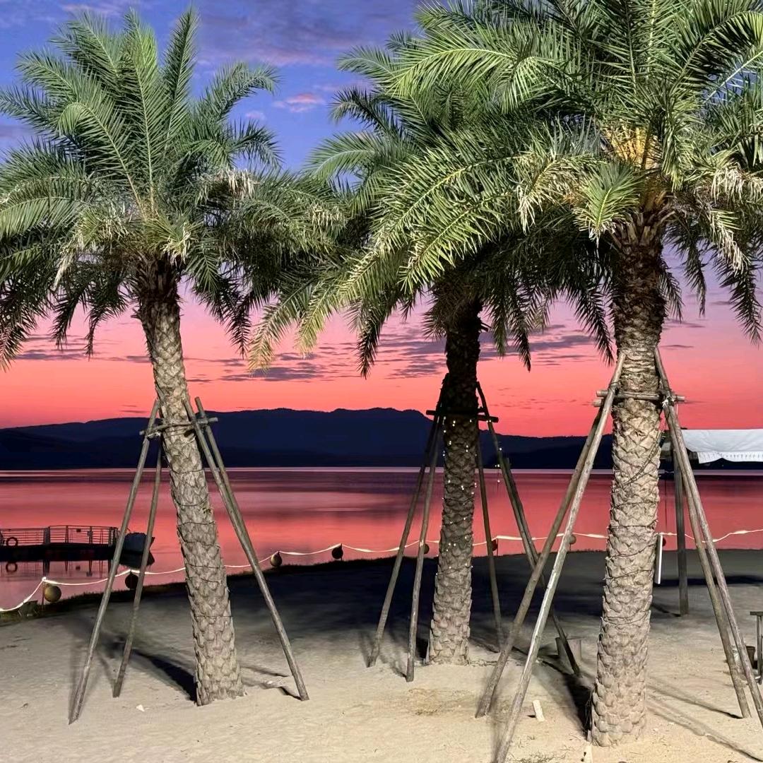 白鹤湖嘻嘻哩小张