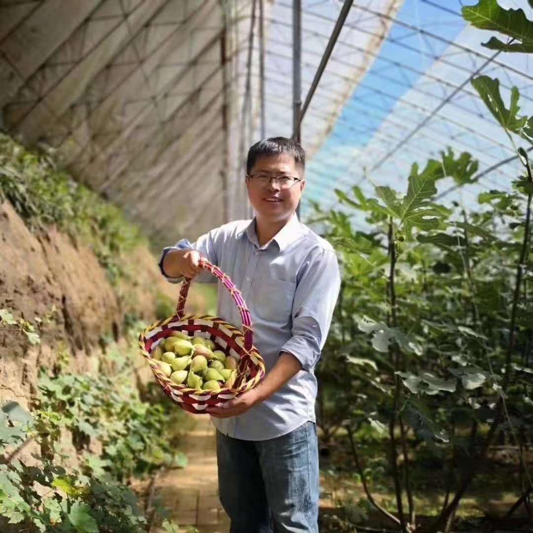 益健缘无花果采摘园宠粉号