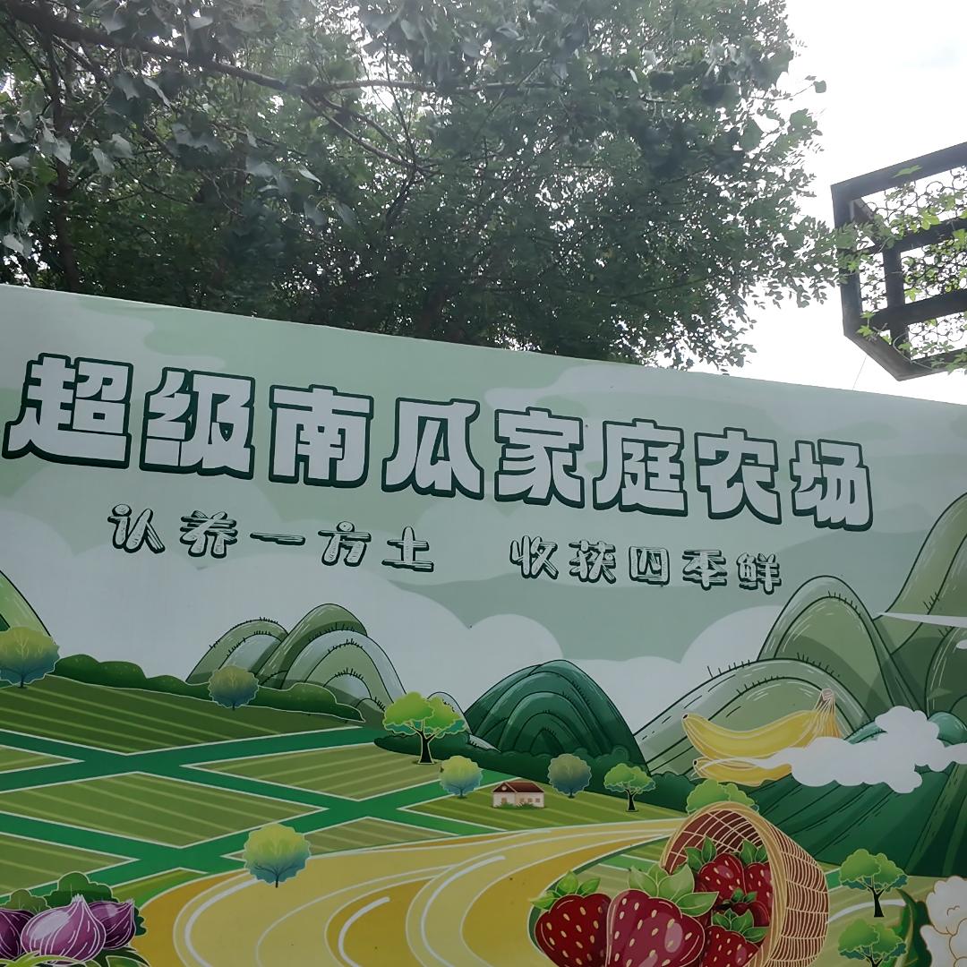 田园汇超级南瓜