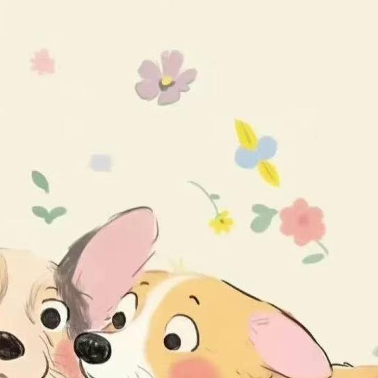 缆炆建筑工程直播号