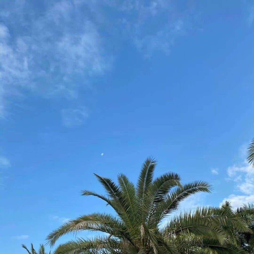 广州沁澜贸易张镇浩直播号