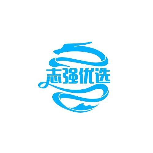 志强优选
