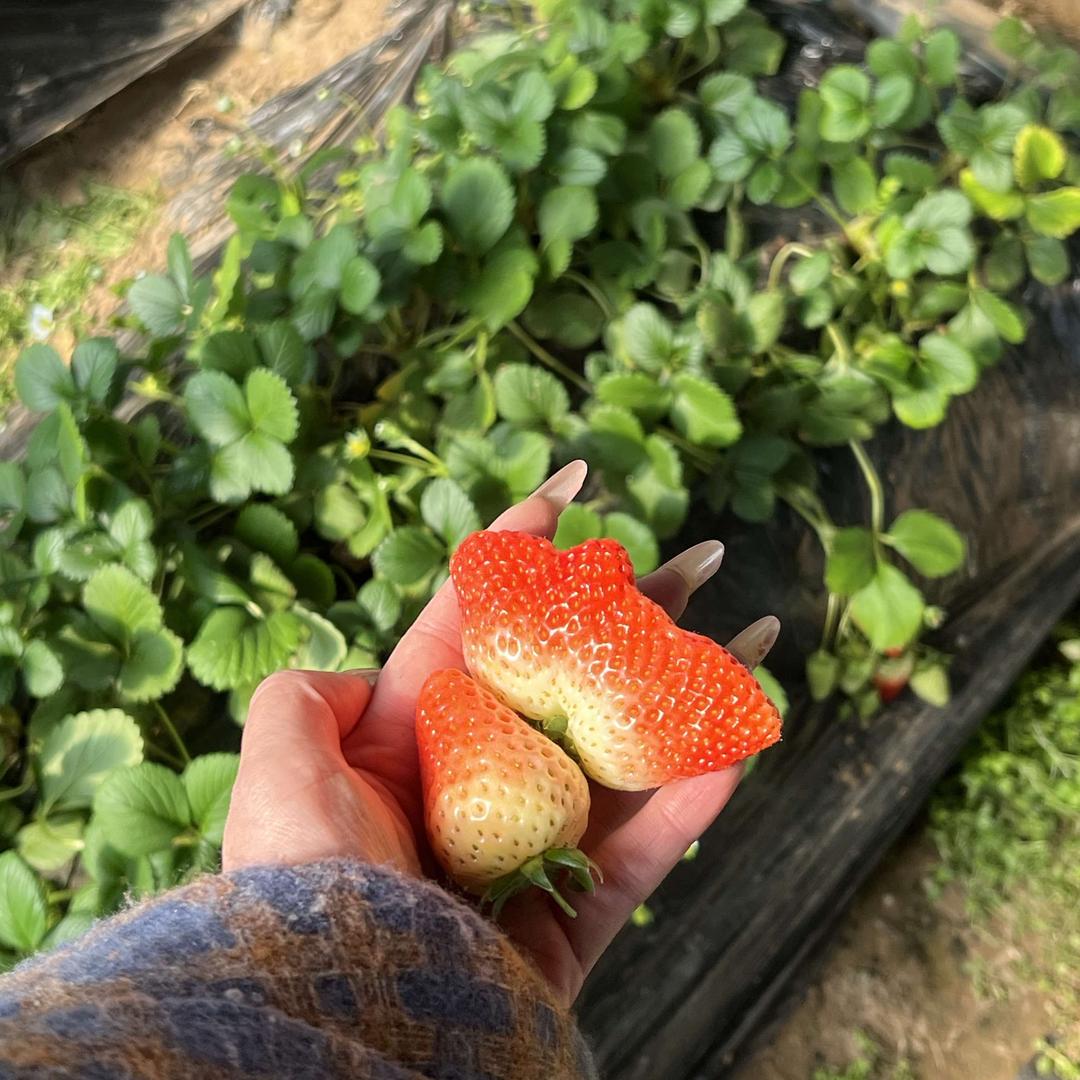 仲永媒体生活日常