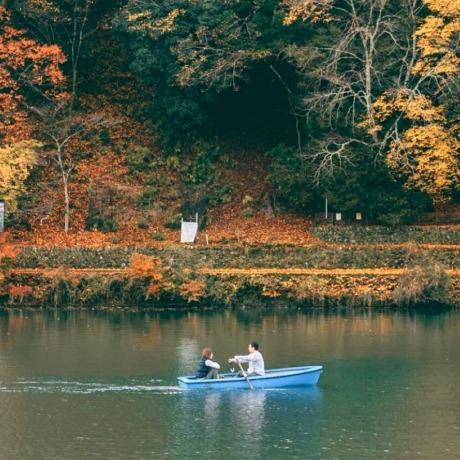 玉溪土特产-彤瑛谈