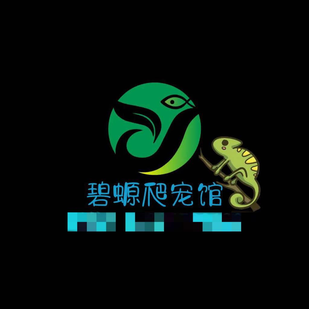 碧螈观赏鱼爬宠馆官方号