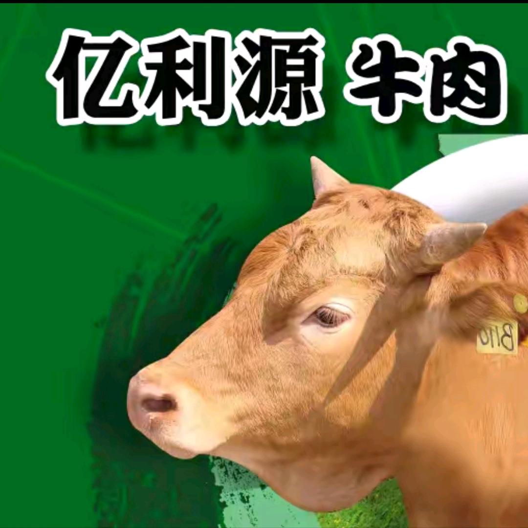 滨州亿利源