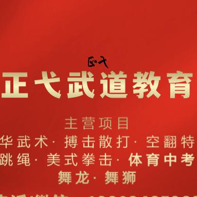 正弋武术搏击散打跳绳中考体育