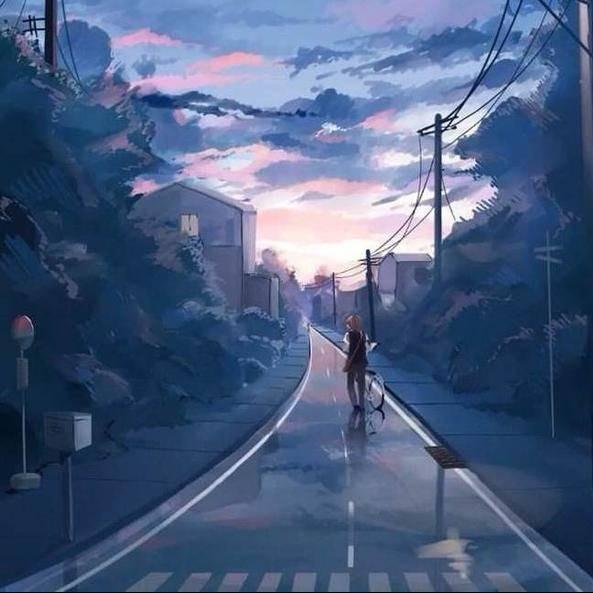 家有喜事宠粉号