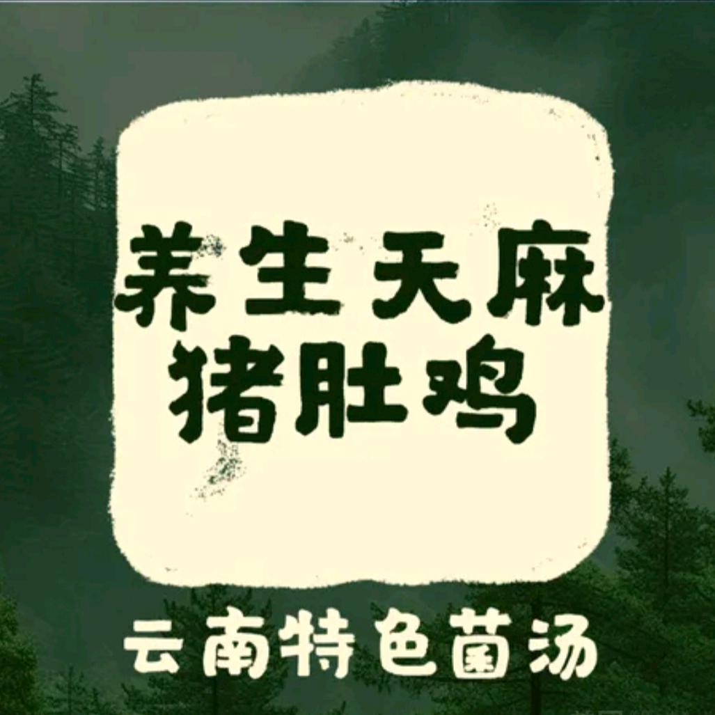 养生天麻猪肚鸡火锅