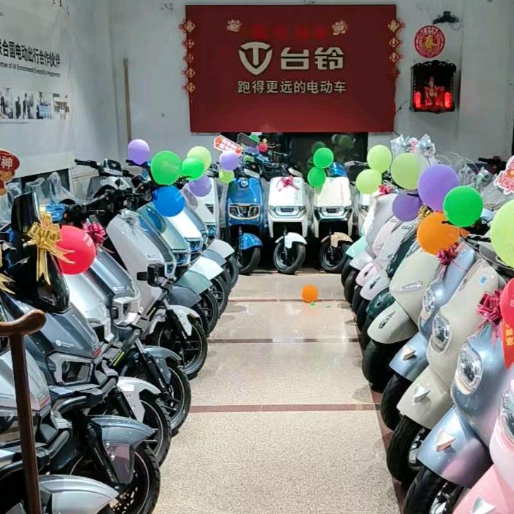 台铃赤湖罗平车行