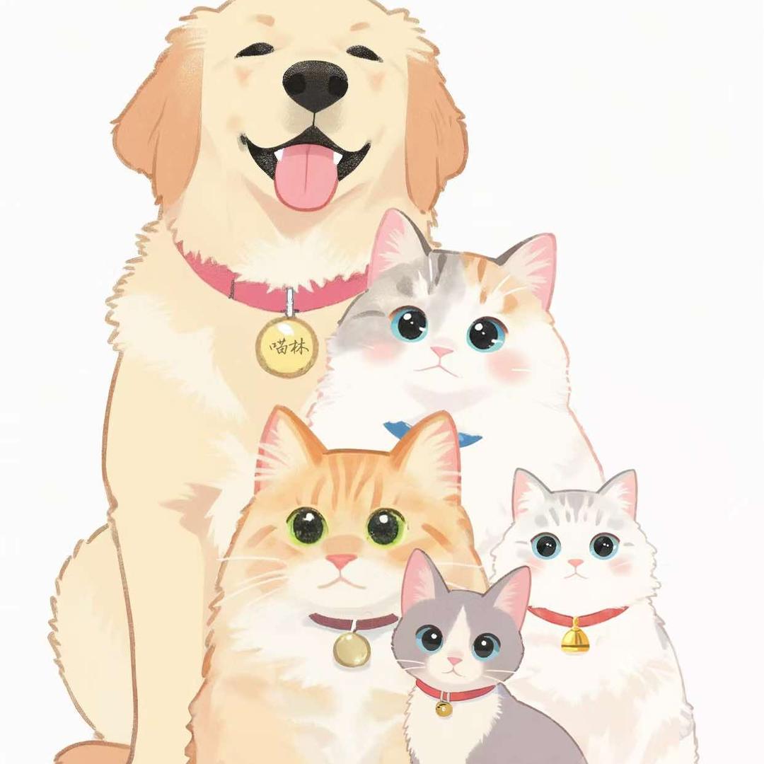 喵林猫咖官方号