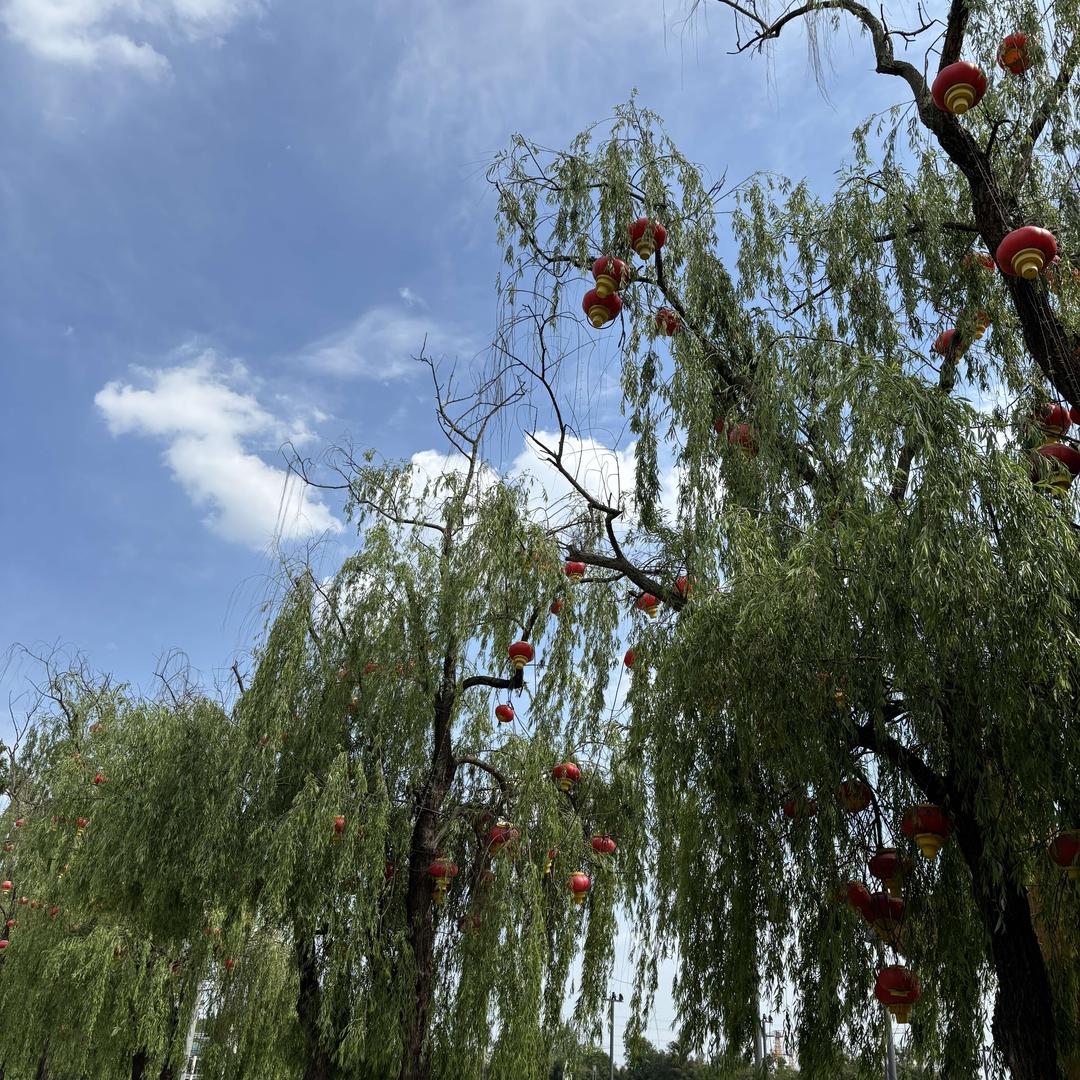 李时珍耳鼻堂新都