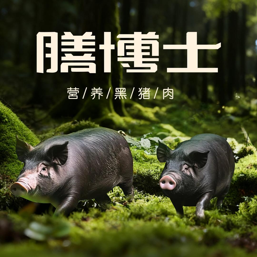 膳博士营养黑猪肉