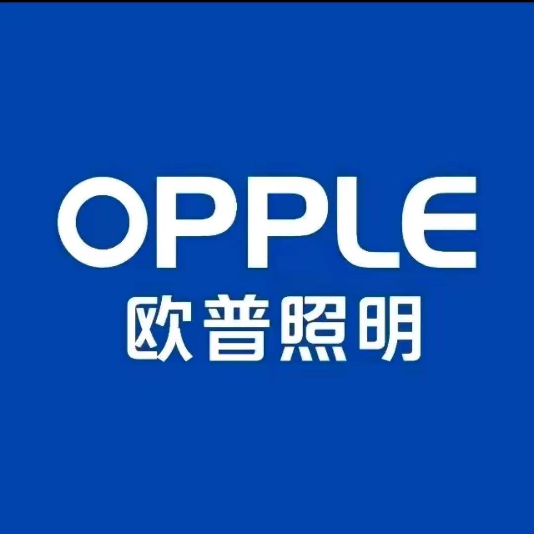 欧普照明(夏邑商贸港旗舰店)