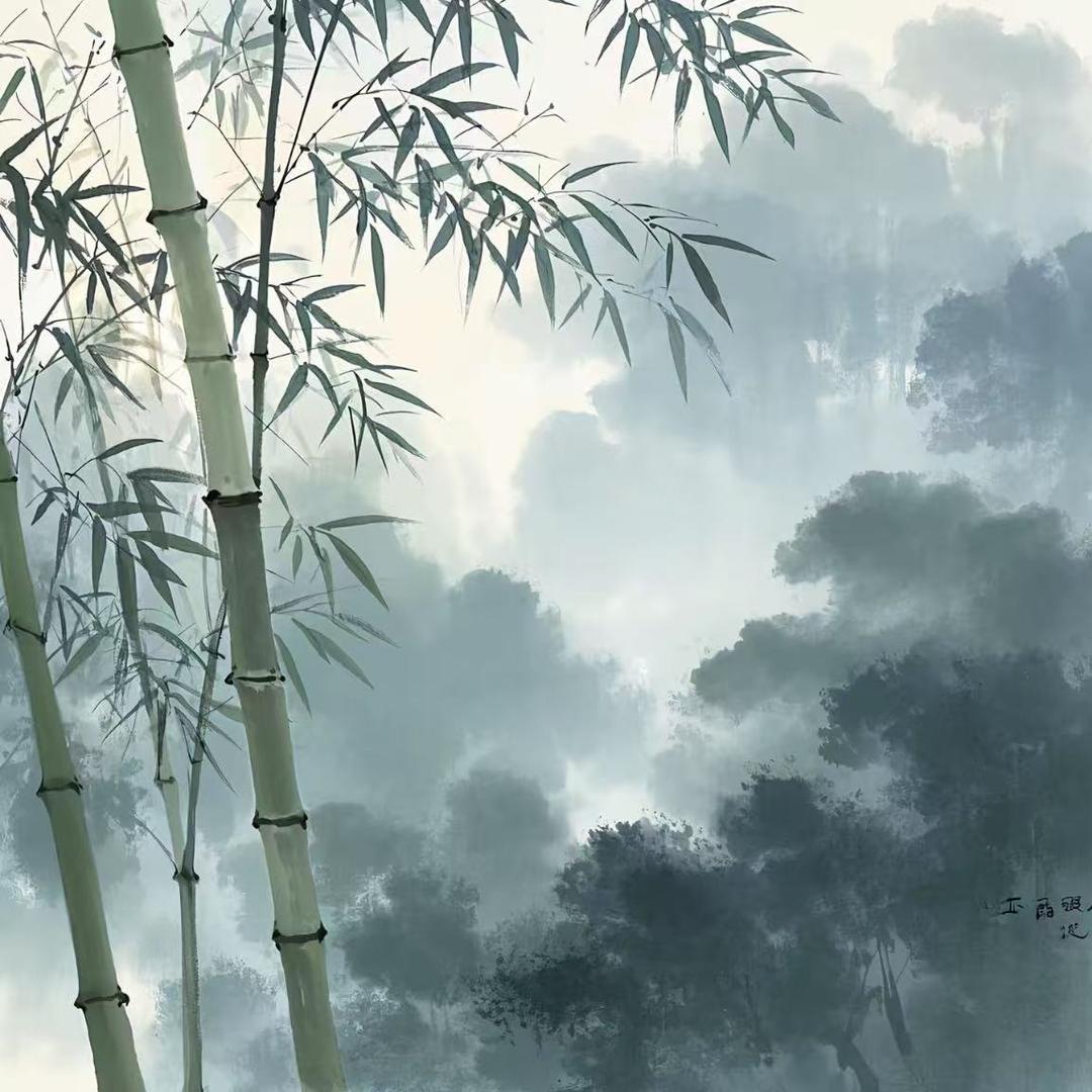 王师傅（坑口直播号）