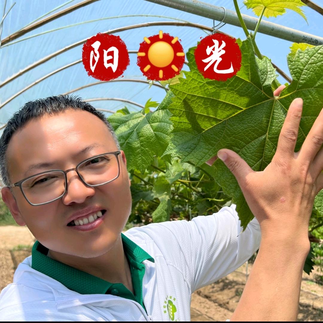 葡萄联盟～大荔郝主任