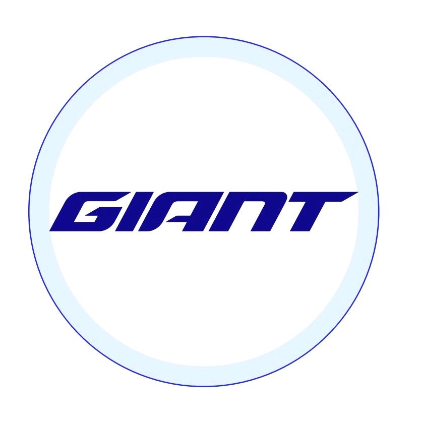 GIANT捷安特(荆门万达店)专用号