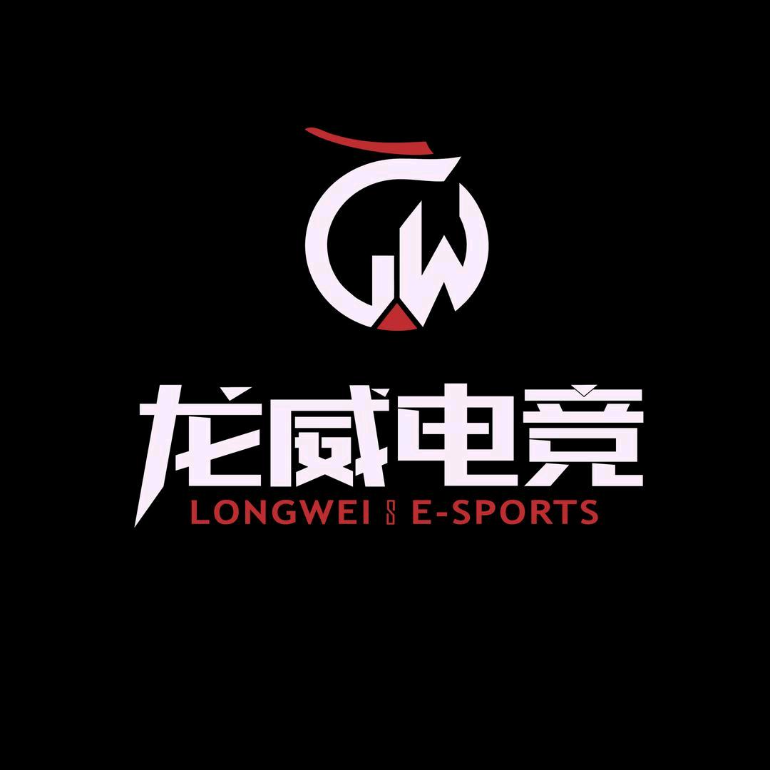 鑫盛龙威网咖（大营坡店）