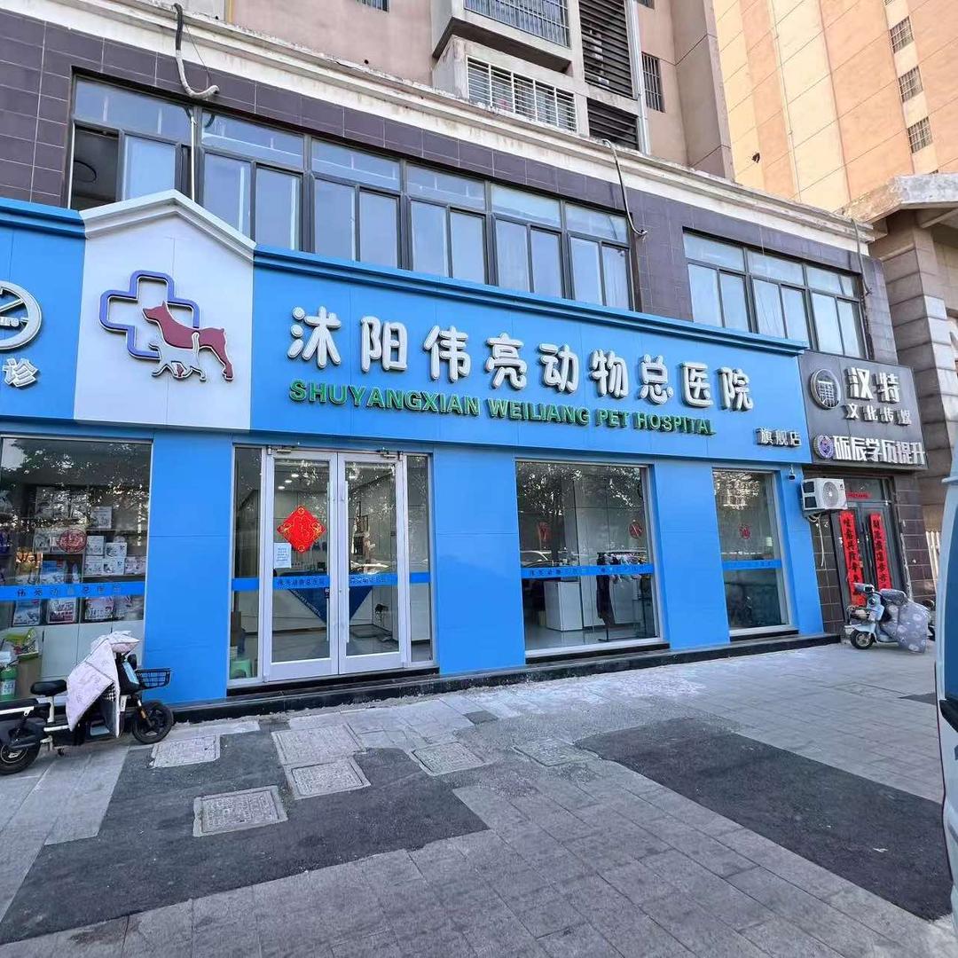 伟亮周院长