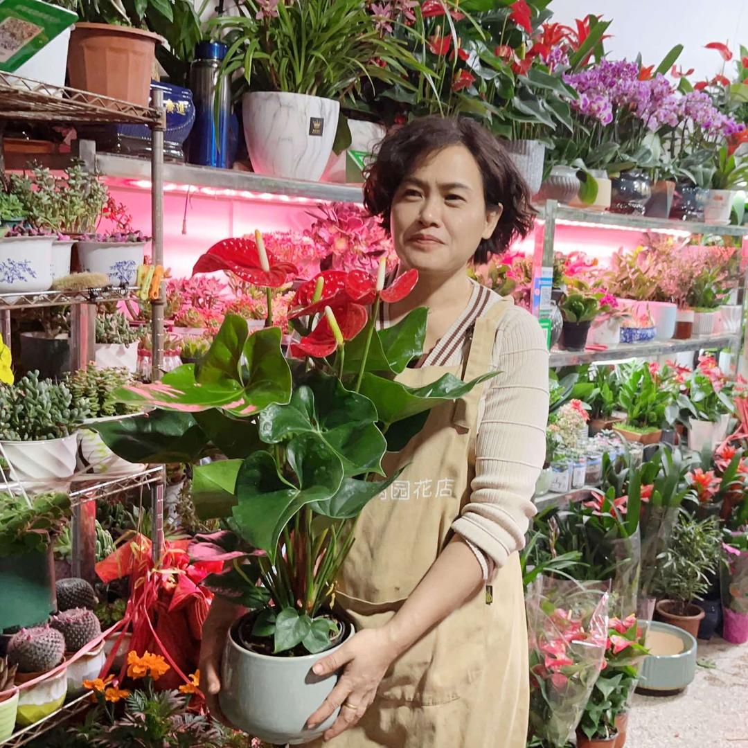春满园花店.